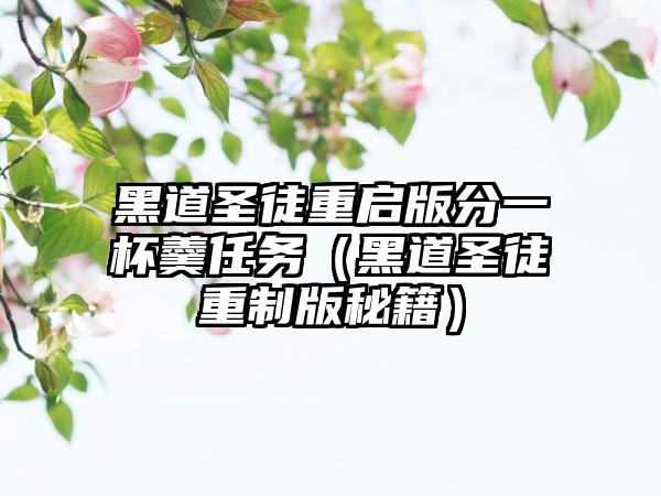 黑道圣徒重启版分一杯羹任务（黑道圣徒重制版秘籍）