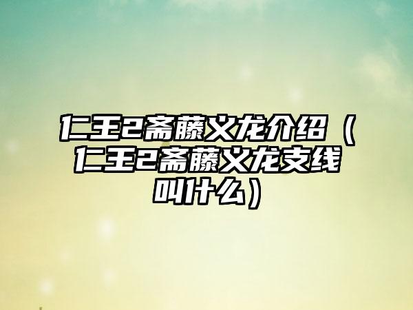 仁王2斋藤义龙介绍（仁王2斋藤义龙支线叫什么）
