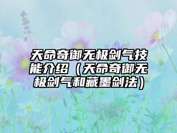 天命奇御无极剑气技能介绍（天命奇御无极剑气和藏墨剑法）