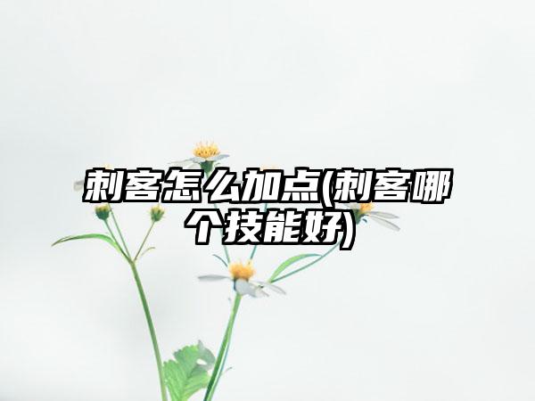 刺客怎么加点(刺客哪个技能好)