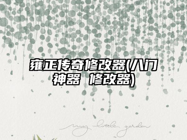 雍正传奇修改器(八门神器 修改器)