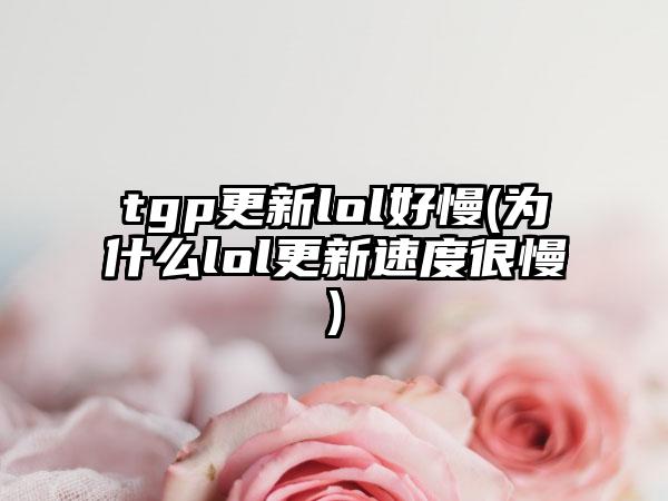 tgp更新lol好慢(为什么lol更新速度很慢)