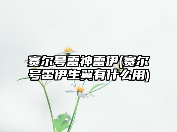 赛尔号雷神雷伊(赛尔号雷伊生翼有什么用)