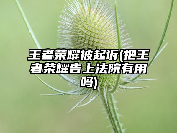 王者荣耀被起诉(把王者荣耀告上法院有用吗)
