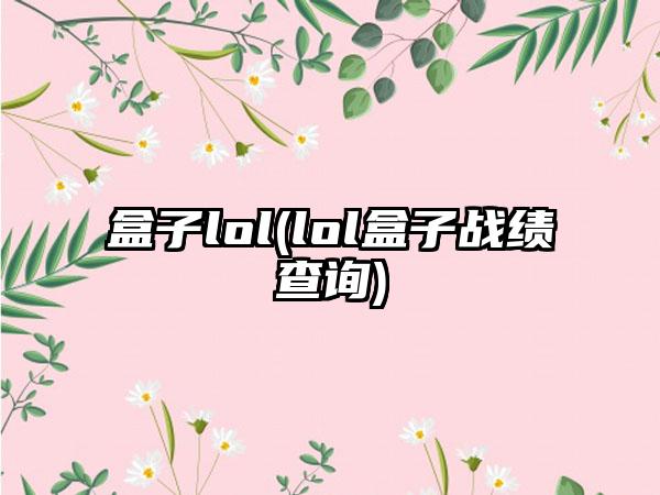 盒子lol(lol盒子战绩查询)