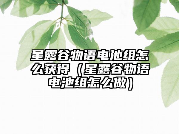 星露谷物语电池组怎么获得（星露谷物语电池组怎么做）