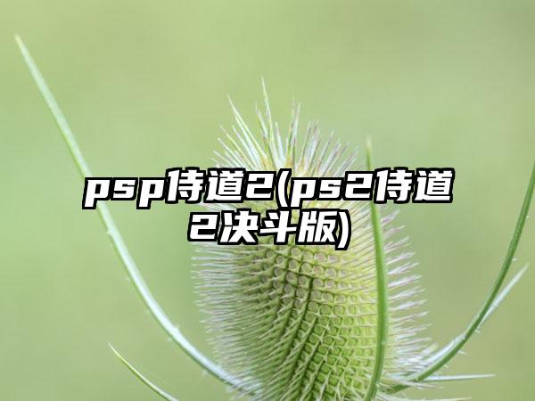 psp侍道2(ps2侍道2决斗版)