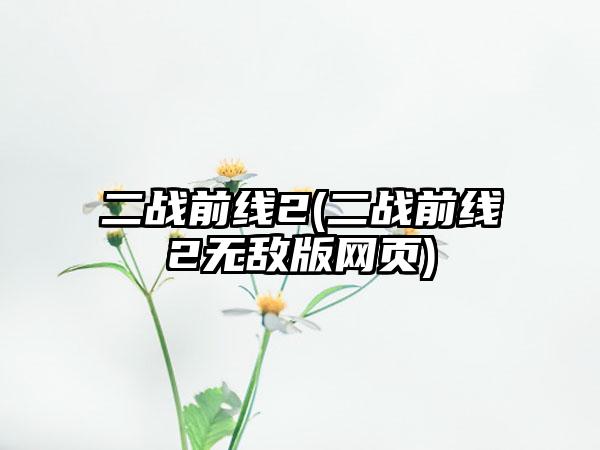 二战前线2(二战前线2无敌版网页)