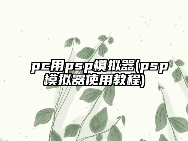 pc用psp模拟器(psp模拟器使用教程)