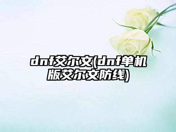 dnf艾尔文(dnf单机版艾尔文防线)