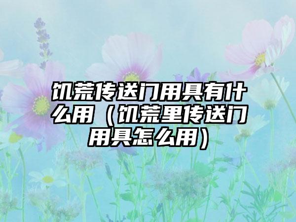 饥荒传送门用具有什么用（饥荒里传送门用具怎么用）