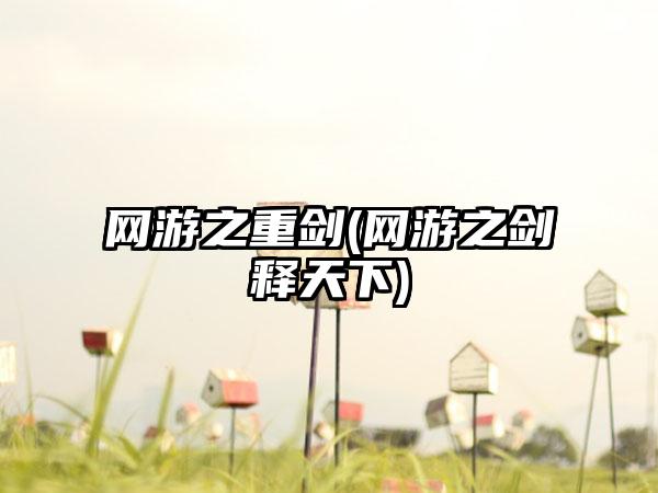 网游之重剑(网游之剑释天下)