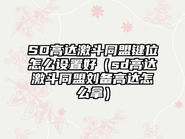 SD高达激斗同盟键位怎么设置好（sd高达激斗同盟刘备高达怎么拿）