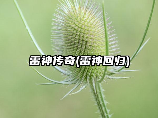 雷神传奇(雷神回归)