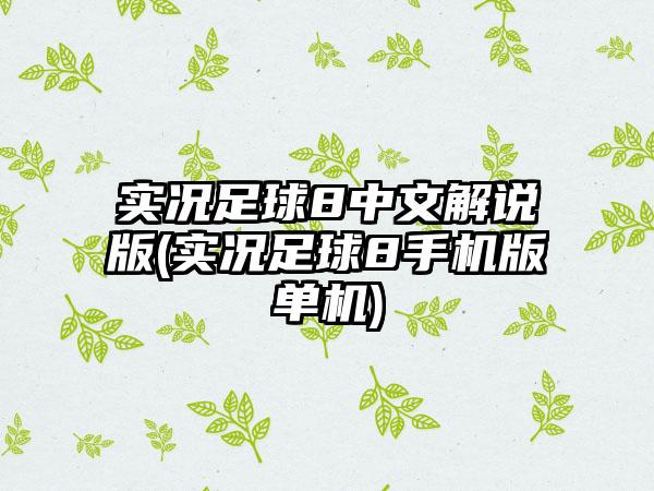 实况足球8中文解说版(实况足球8手机版单机)
