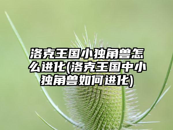 洛克王国小独角兽怎么进化(洛克王国中小独角兽如何进化)