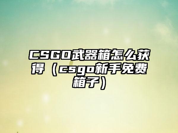 CSGO武器箱怎么获得（csgo新手免费箱子）