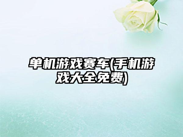 单机游戏赛车(手机游戏大全免费)