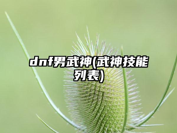 dnf男武神(武神技能列表)