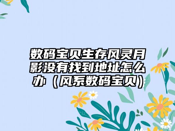 数码宝贝生存风灵月影没有找到地址怎么办（风系数码宝贝）