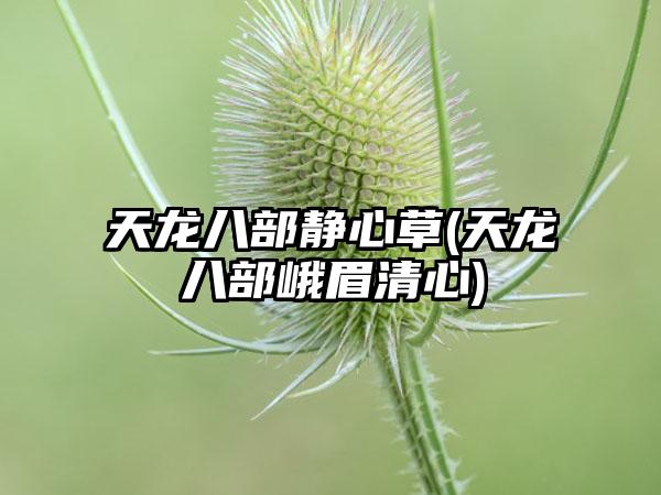 天龙八部静心草(天龙八部峨眉清心)