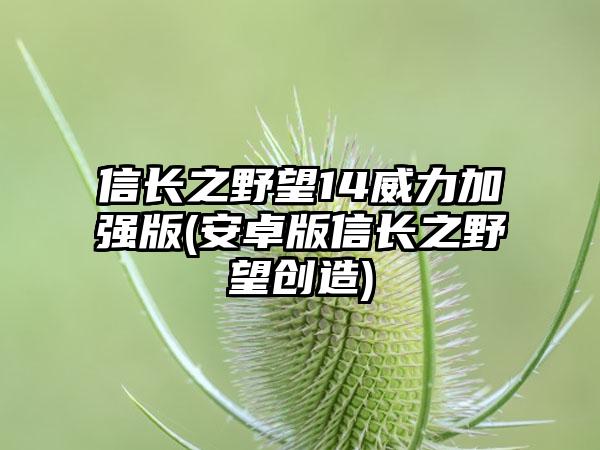 信长之野望14威力加强版(安卓版信长之野望创造)