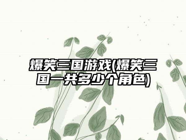 爆笑三国游戏(爆笑三国一共多少个角色)