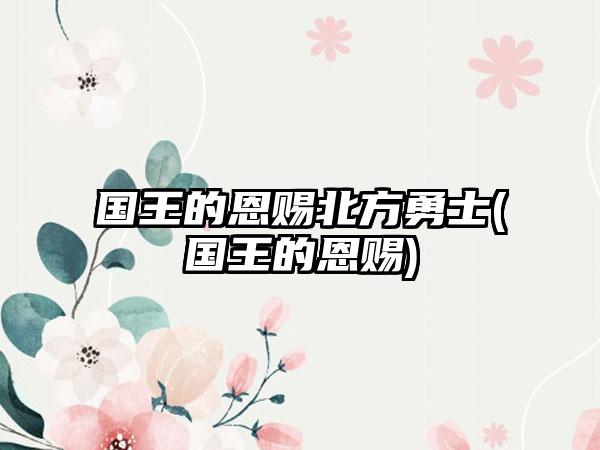 国王的恩赐北方勇士(国王的恩赐)