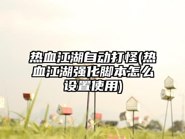 热血江湖自动打怪(热血江湖强化脚本怎么设置使用)