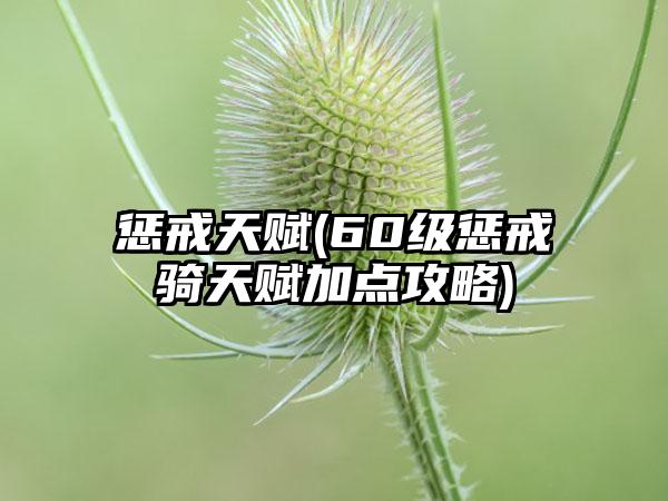惩戒天赋(60级惩戒骑天赋加点攻略)