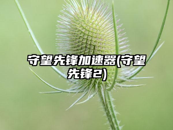 守望先锋加速器(守望先锋2)