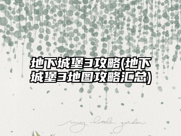 地下城堡3攻略(地下城堡3地图攻略汇总)