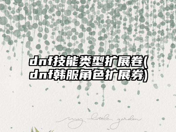dnf技能类型扩展卷(dnf韩服角色扩展券)