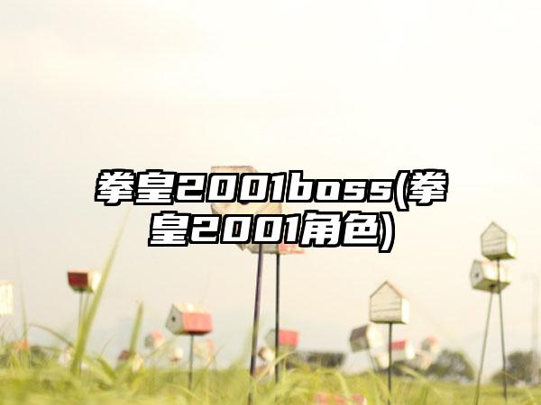 拳皇2001boss(拳皇2001角色)
