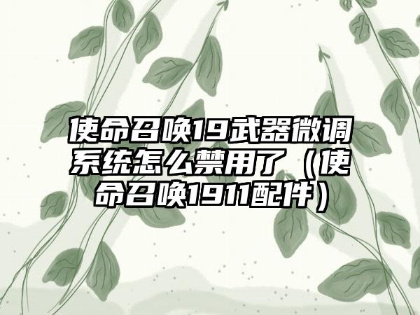 使命召唤19武器微调系统怎么禁用了（使命召唤1911配件）