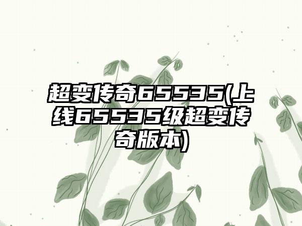 超变传奇65535(上线65535级超变传奇版本)