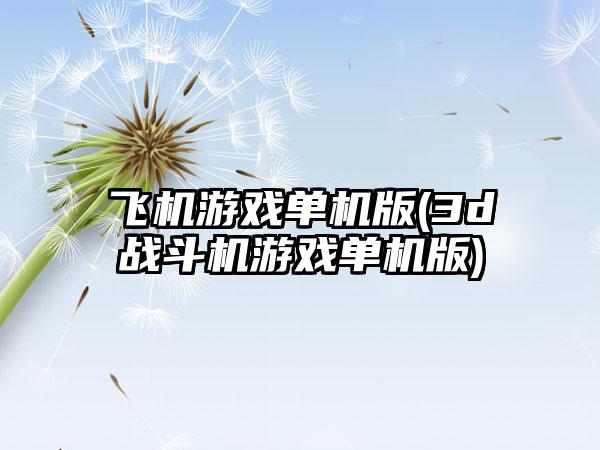 飞机游戏单机版(3d战斗机游戏单机版)