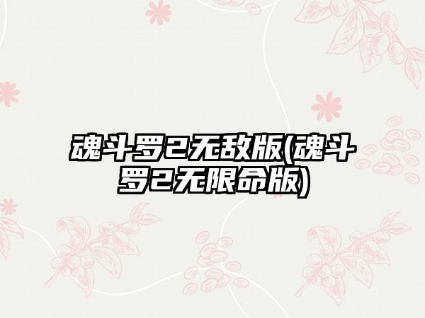 魂斗罗2无敌版(魂斗罗2无限命版)