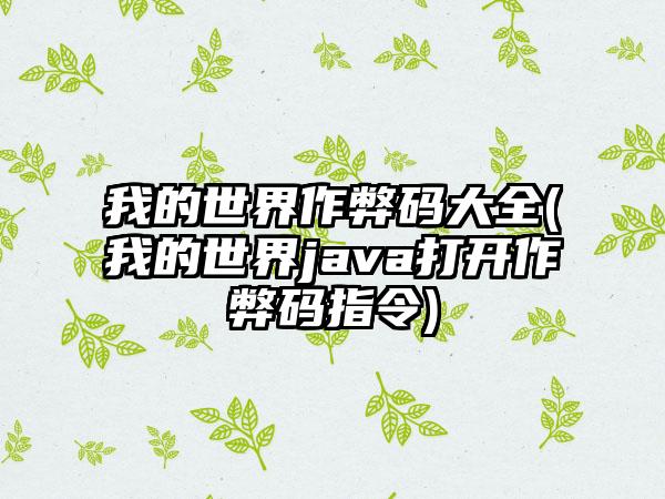 我的世界作弊码大全(我的世界java打开作弊码指令)