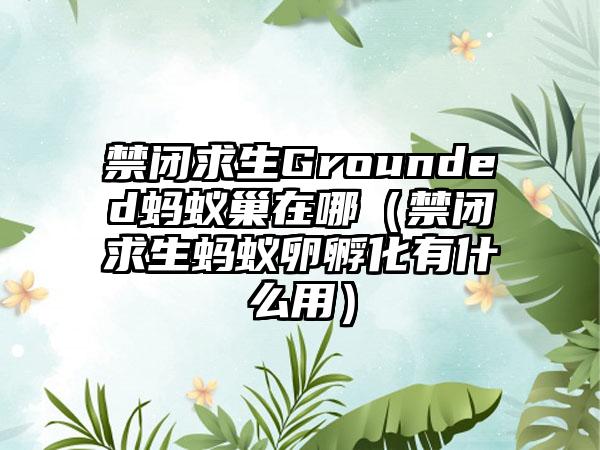 禁闭求生Grounded蚂蚁巢在哪（禁闭求生蚂蚁卵孵化有什么用）