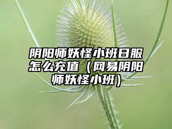 阴阳师妖怪小班日服怎么充值（网易阴阳师妖怪小班）