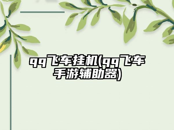 qq飞车挂机(qq飞车手游辅助器)