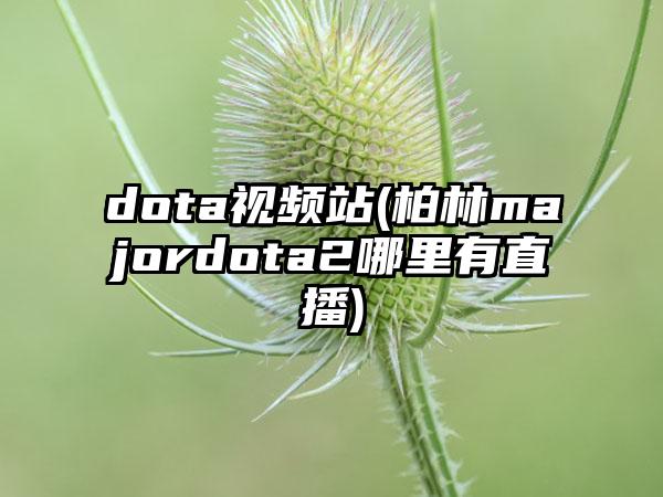 dota视频站(柏林majordota2哪里有直播)