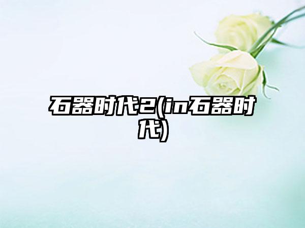 石器时代2(in石器时代)