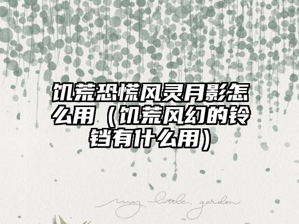 饥荒恐慌风灵月影怎么用（饥荒风幻的铃铛有什么用）