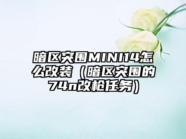 暗区突围MINI14怎么改装（暗区突围的74n改枪任务）