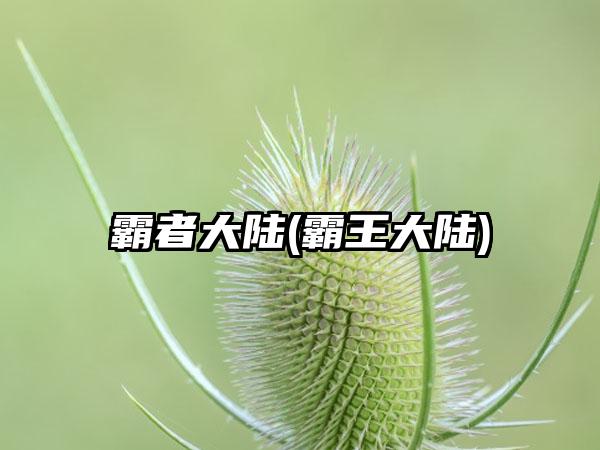 霸者大陆(霸王大陆)