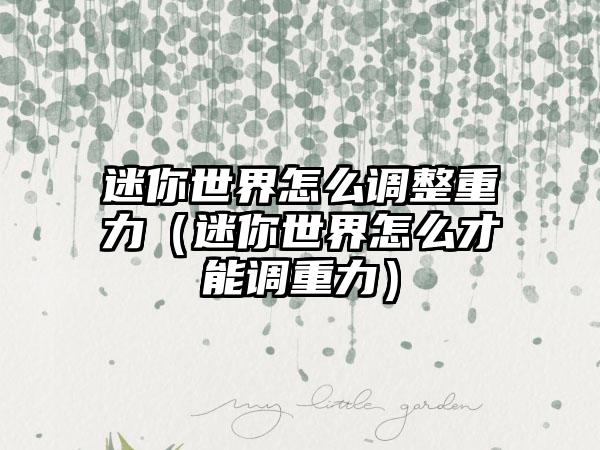 迷你世界怎么调整重力（迷你世界怎么才能调重力）