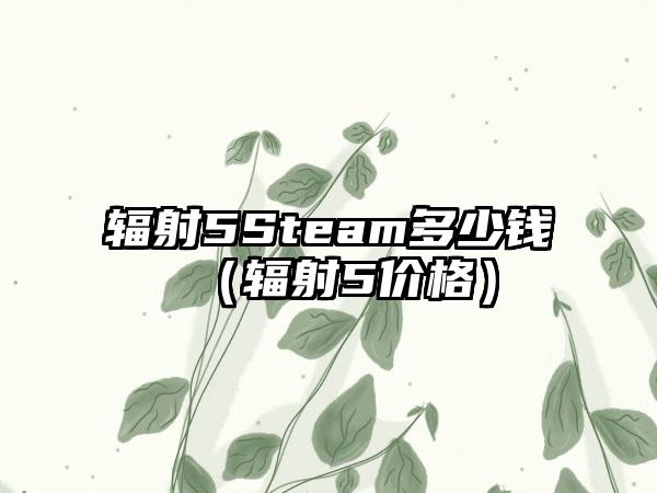 辐射5Steam多少钱（辐射5价格）