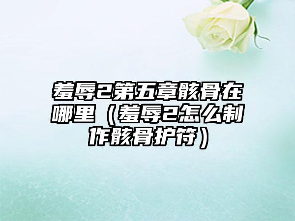 羞辱2第五章骸骨在哪里（羞辱2怎么制作骸骨护符）